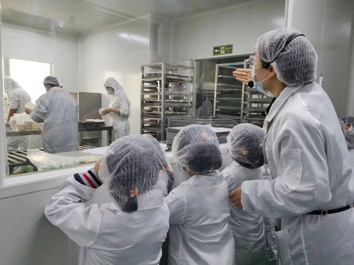 探访优壹朵焙滋特中央工厂 社会实践中的社会经济启示